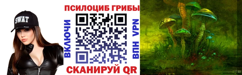 Купить  Ефремов  Псилоцибиновые грибы прущие грибы 